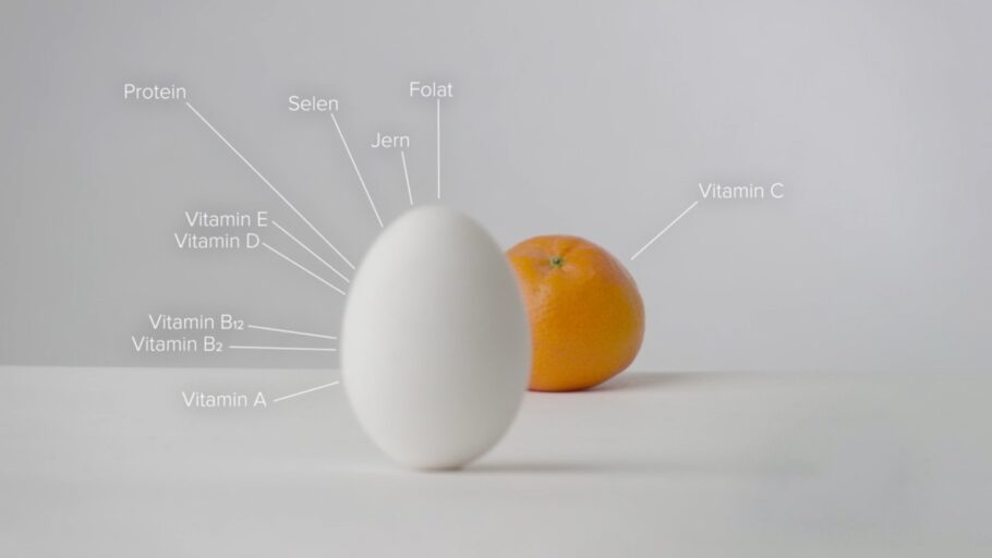Egg inneholder alt utenom vitamin C