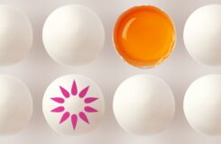 Egg og kolesterol - hvor mange egg kan jeg spise?