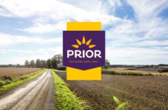 Landskap med PRIOR logo.