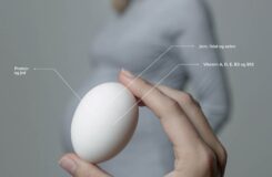 Egg og graviditet