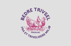 Trivselstiltak for høner som legger prior egg